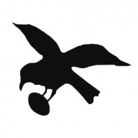 Sporting RC